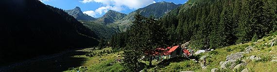 Cabana Valea Sâmbetei