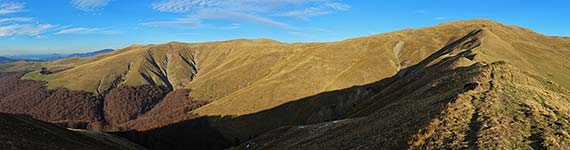 Culmea Zamora (VI)